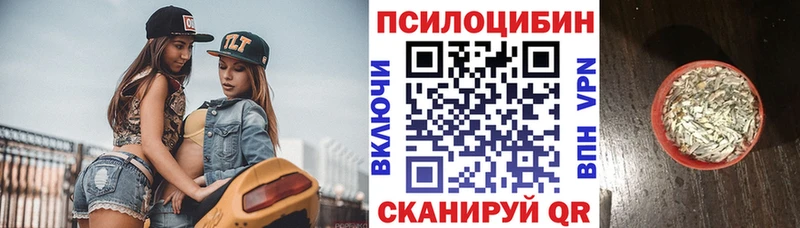 купить наркотик  Усть-Катав  mega маркетплейс  Псилоцибиновые грибы мухоморы 